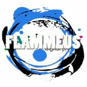 Verkeersschool Flammeus logo