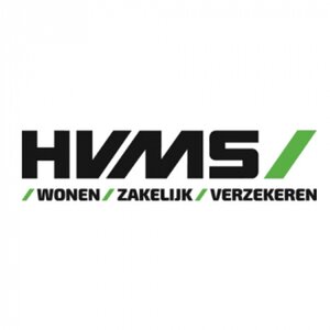 HVMS Holding B.V. logo