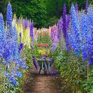 Spaansen Bloemen V.O.F. image 1