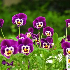 Praxis Doe-het-zelf Center B.V. image 2