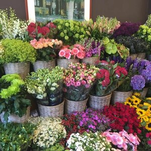 Groot in Groen image 6