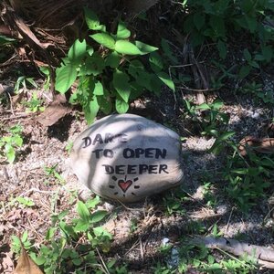 Mindful Presence image 2