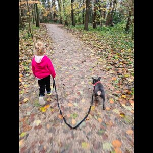 Bika Huisdierenservice image 3