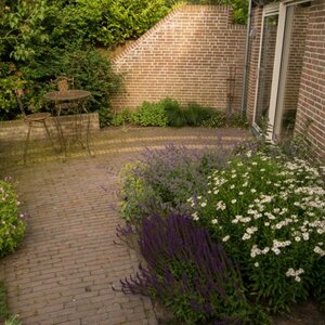 Ontwerpburo en Hoveniersbedrijf Yvonne Kruize-Box &amp; Zn V.O.F. image 2