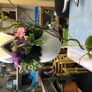 Groenvelds Hobbyboet image 7