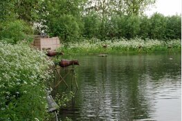 Een kijkje achter de schermen in eendenkooi Van der Eng, Uitgeest
