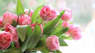 Moederdag 2019