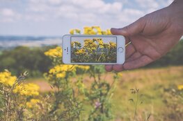 Kinderactiviteit Fotograferen met je mobiel bij het Koetshuijs in Heemskerk