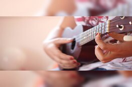 Ukelele Cursussen | Voor leerkrachten en volwassenen