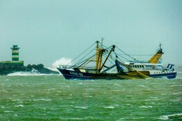Zondagse storm Ciara houdt Nederland in greep (fotoalbum)