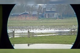 Zondag 1 en 8 maart 2020 Vogelkijkdagen bij Fort K'IJK