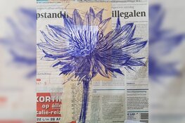 Knoppen en voorjaarsbloemen tekenen met BIC-pen bij kasteeltuin Assumburg