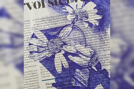 Knoppen en voorjaarsbloemen tekenen met BIC-pen bij kasteeltuin Assumburg