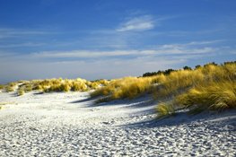 Kom tijdens paasweekend niet naar duingebieden