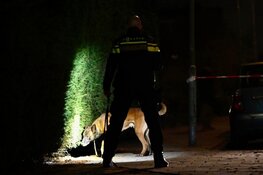 Melding van schietpartij in Heemskerk, veel politie op de been