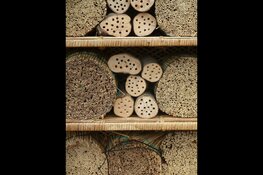 Insectenhotel maken voor volwassenen op 13 juli in het Koetshuijs