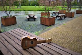 Gratis workshop ukelele