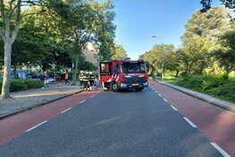 Boom omgevallen op geparkeerde auto