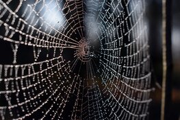 Doe jij weer mee met NME op Kinderboerderij Dierendorp?