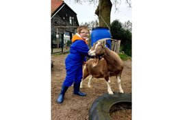 Kerstkaartenactie Kindcentrum De Ark