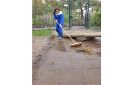 Kerstkaartenactie Kindcentrum De Ark