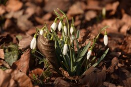IVN wandeling rond Kasteel Marquette
