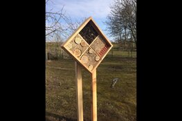 Leer hoe jij insecten helpt bij 't Koetshuijs in Heemskerk