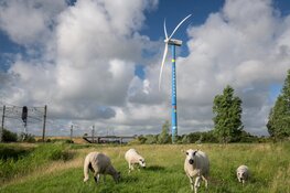 Heemskerk op zoek naar derde dorpsfotograaf