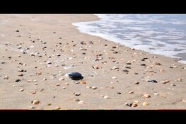 Het strand is meer dan alleen maar zand