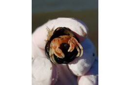 Het strand is meer dan alleen maar zand