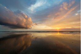 Noord-Holland krijgt er nieuw Groen Strand bij!
