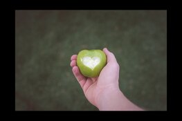 Kinderactiviteit "Appels enzo" bij het Koetshuijs in Heemskerk