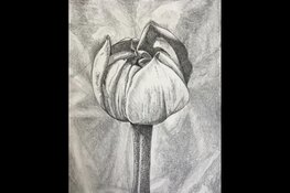 Expositie Koetshuijs Kasteeltuin Assumburg