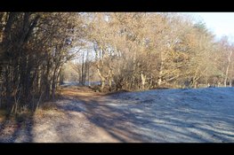 Op woensdag 28 december organiseert IVN Midden Kennemerland een prachtige winterwandeling  in het duingebied van PWN.