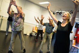 Viva! Dagbeweging naar Cultuurhuis Heemskerk