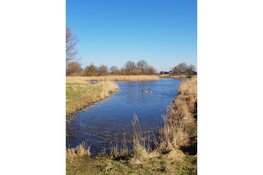 Wandelen jullie ook weer mee? Park Assumburg is nog steeds de moeite waard!!