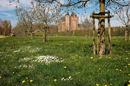 Gratis rondleidingen in Kasteeltuin Assumburg