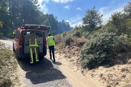 Brandweer met man en macht paraat bij flinke natuurbrand in Heemskerk