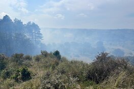 Brandweer met man en macht paraat bij flinke natuurbrand in Heemskerk