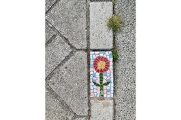 Dorpsfotograaf Jacco Tuijn levert vijfde foto