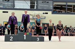 Eerste wedstrijden F-jeugd Toss Heemskerk