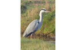 Fietstocht Krommenieër Woudpolder 20 april 2024