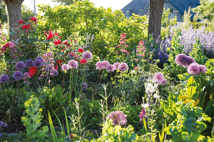 Open Tuinenweekend Heemskerk Groei & Bloei afdeling Midden-Kennemerland 8/9 juni
