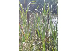 De herfst komt eraan in Park Assumburg