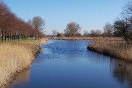 Park Assumburg: Een historische groene Oase