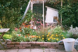 Je tuin opnieuw inrichten: zo pak je dat aan