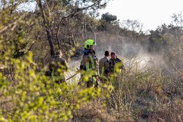 Aanhouding verdachte duinbrand Heemskerk