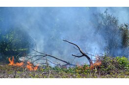 Brandweer blust natuurbrand in Heemskerk