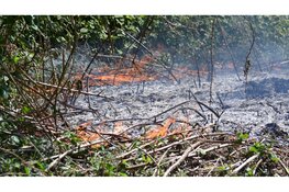 Brandweer blust natuurbrand in Heemskerk