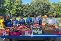 Vier dagen wandelfeest in Heemskerk
